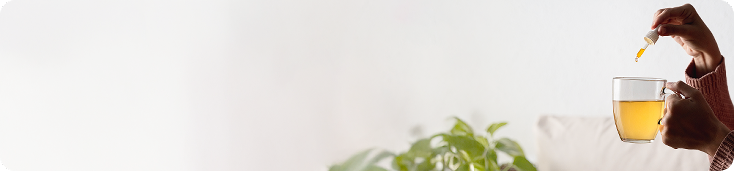 ライフスタイル