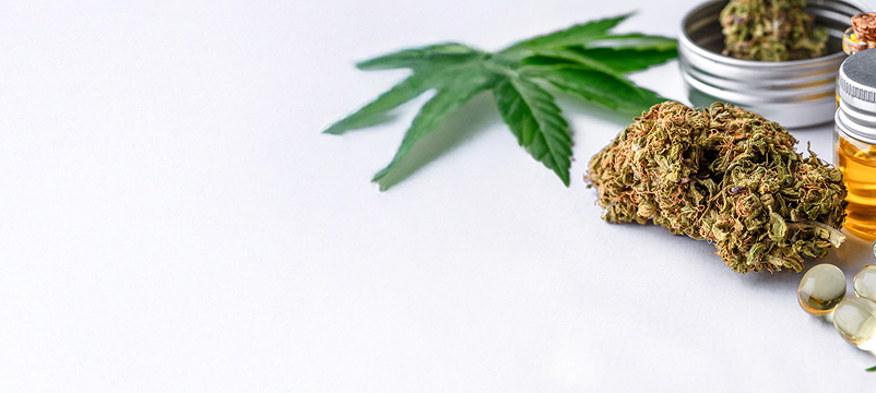 基礎・法律・選び方