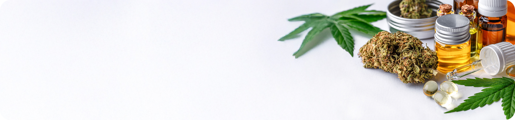 基礎・法律・選び方