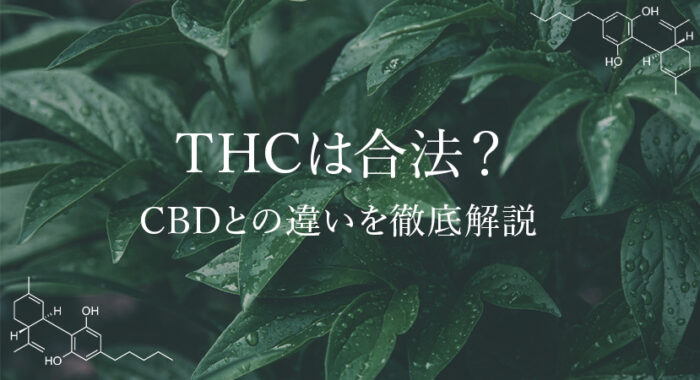 非公開: THCとは合法なのか？CBDの違いと効果を詳しく解説